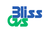 Bliss GVS Pharma Ltd.